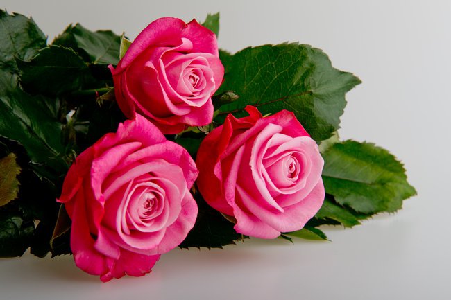 diese Rosen sind fuer dich.