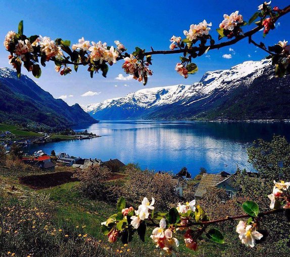 dla przyjaciół z nk i fb