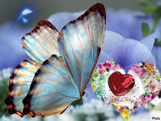 WITAM  SERDECZNIE  ;;;  (  RUN   )  BUZIACZKI