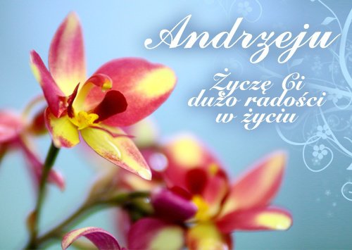 Wdniu urodzin dla Andrzeja