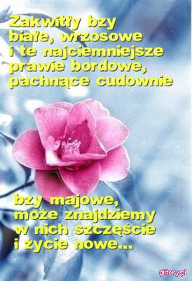 Oczekiwanie na Wiosnę!