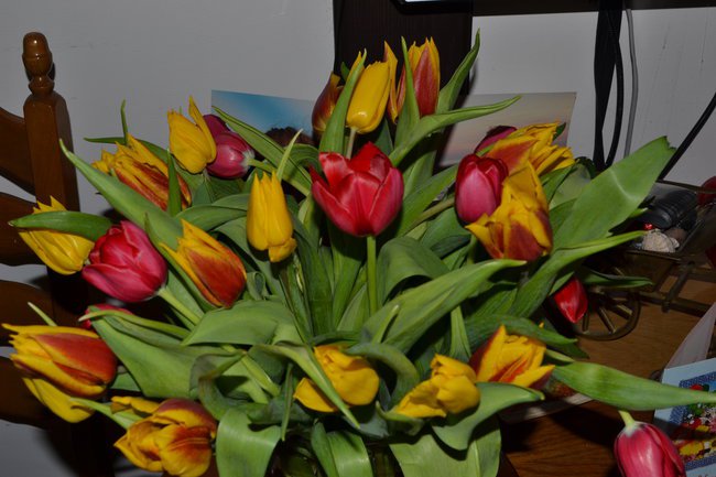 Impressions of birth Carolina