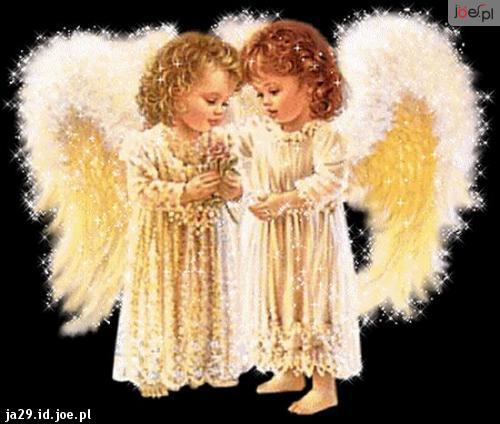 ALFRED TOMICZEK ZAMOŚĆ  2914.R