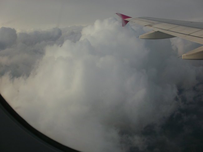 Kochanej wnusi Julce