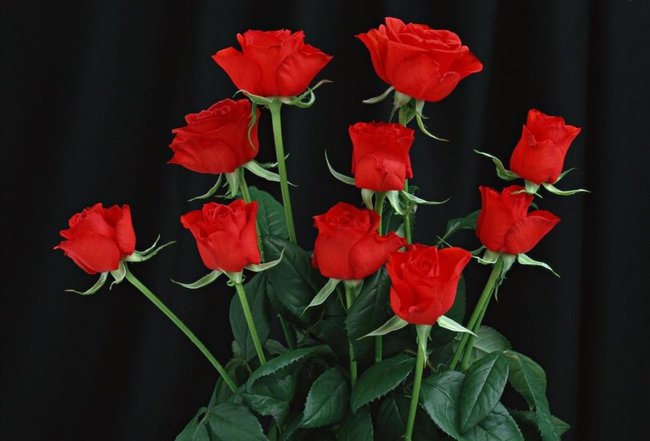 CHRISTINA - KRYSTYNA