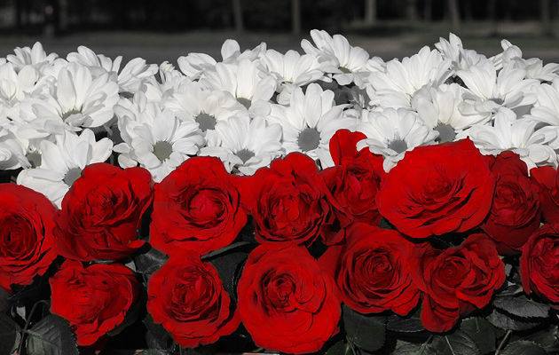 dla  wszystkich przyjaciół na dzien dobry