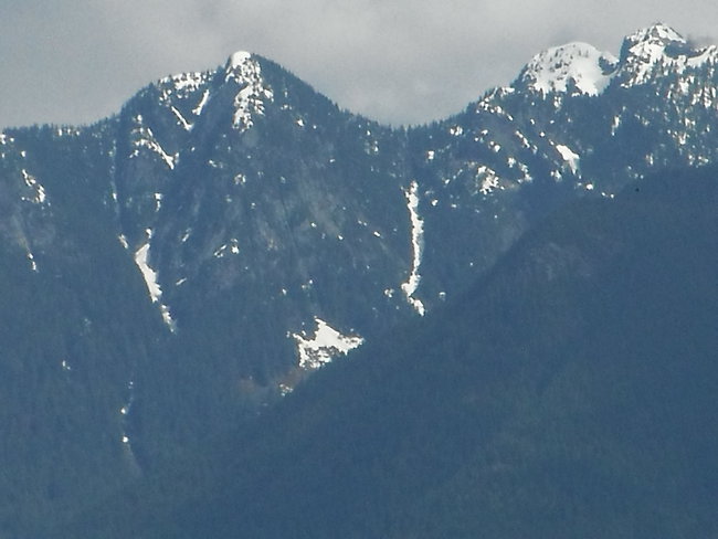 Ziemia jest cudowną jabłonią