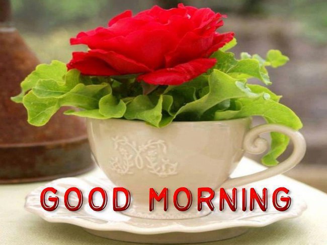 Na urodzinki w  podarunku slajdzik z życzeniami od Basi