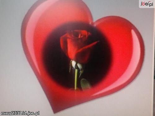 Walentynki  ..I LOVE YOU