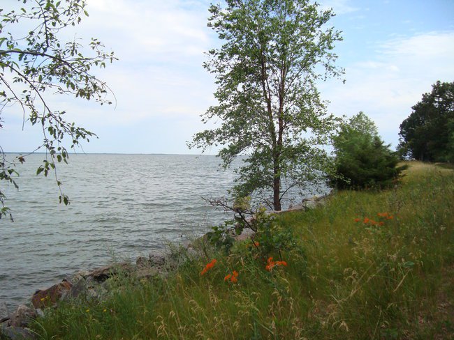 Happy  Valentines Day