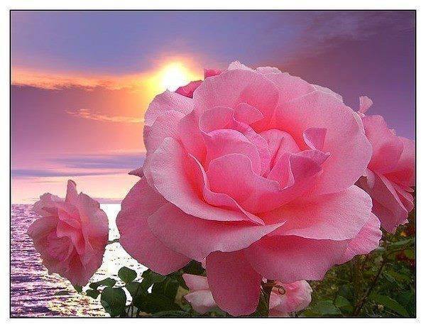 POZDROWIENIA Z LONDYNU:):)