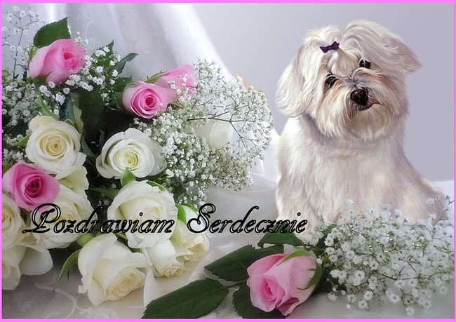 Moim kochanym Serduszkom