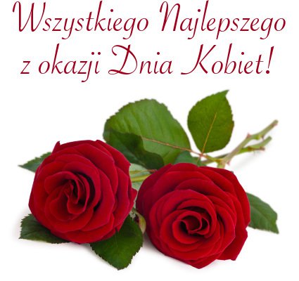 ROZE kwiaty milosci.