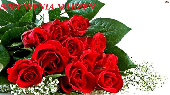 WSZYSTKIEGO NAJLEPSZEGO