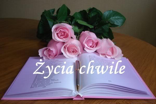 Życia chwile