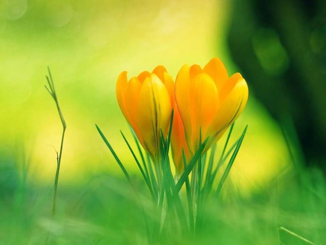 WSPOMNIENIA RODZINNE WRAZ Z  NADEJŚCIEM WIOSNY