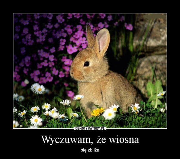 PIEKNA WIOSNA....