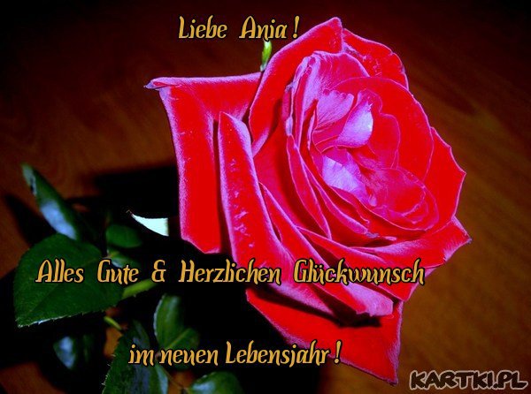 Aniu Heute ist Dein Tag - Dein Geburtstag