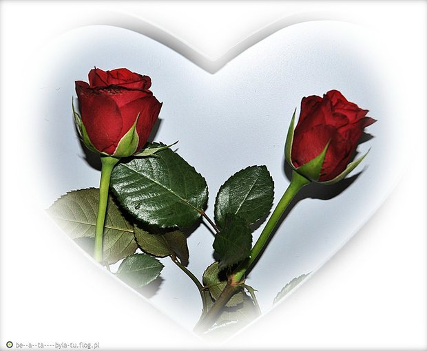 DLA KOCHANYCH PRZYJACIOŁ...