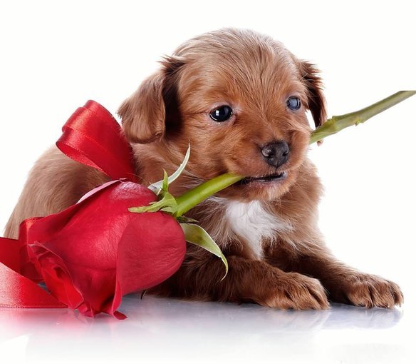 Mam dwie lewe ręce...........