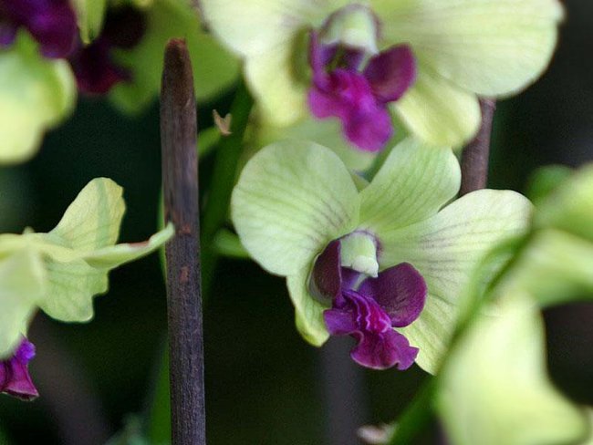 ...Cudowny swiat ....