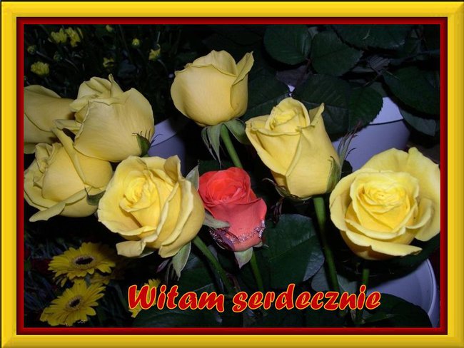 POZDRAWIAM MOICH PRZYJACIÓŁ ŻYCZĘ UROCZEGO TYGODNIA-ANIA