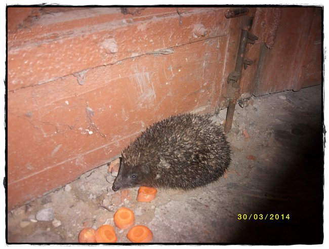 Nasz dzisiejszy dzionek :)