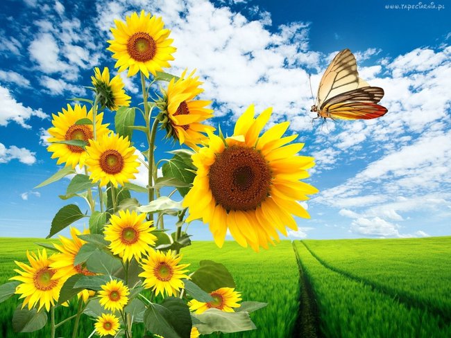 DLA PRZYJACIÓŁKI JANECZKI OD HALINKI