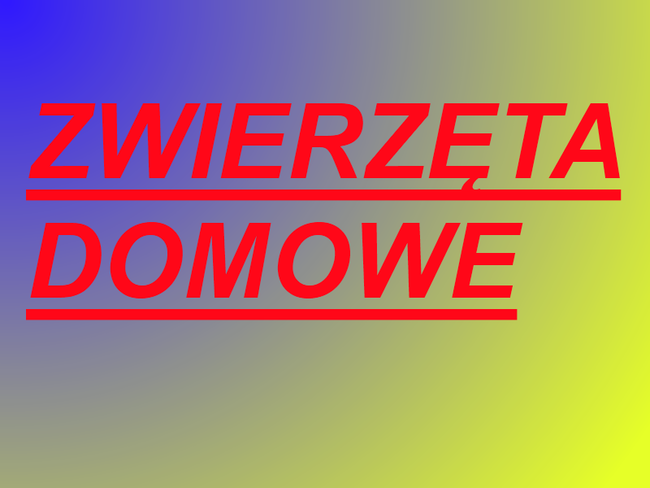 Zwierzęta Domowe