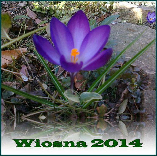 Wiosna 2014