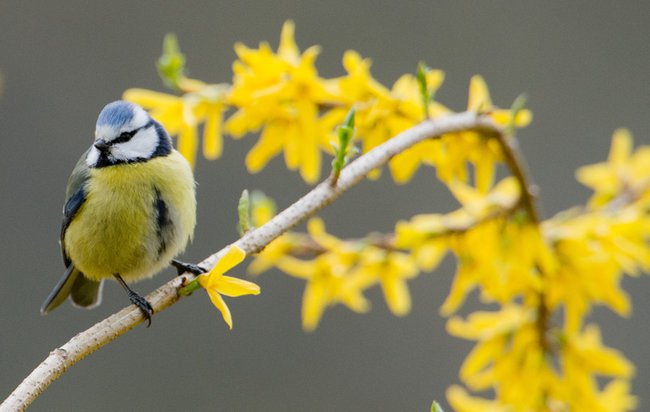 WIOSENNEGO NOWEGO TYGODNIA....