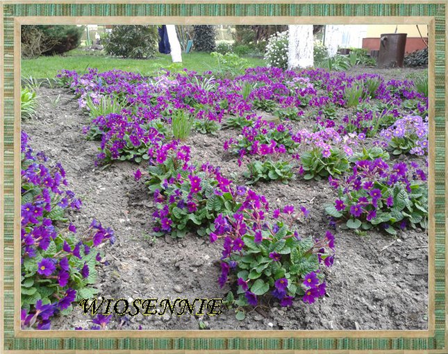 Alleluja... idzie wiosna