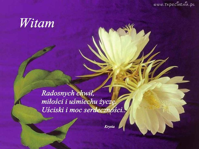 DLA MOICH PRZYJACIÓŁ