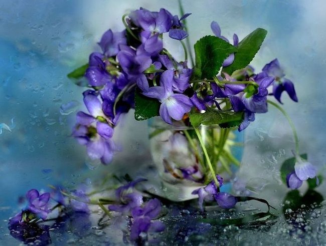 Radosnych Świąt Wielkanocnych życzy Urszula