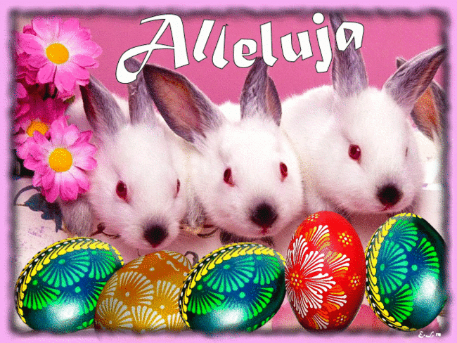 Zyczenia od babci Tereski