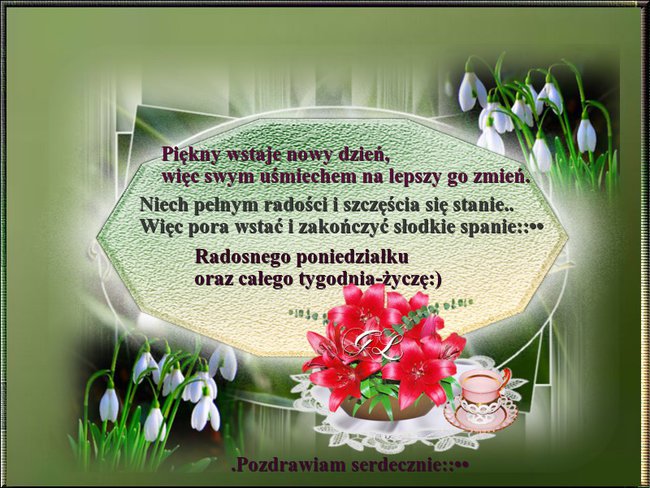 MILEGO CALEGO TYGODNIA ZYCZE