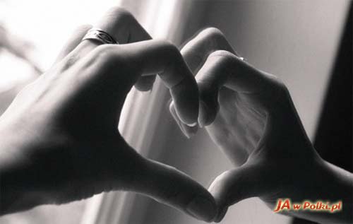 Wiki Paucia i Kingaa