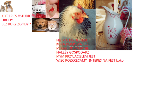 różnorodny sliajdzik