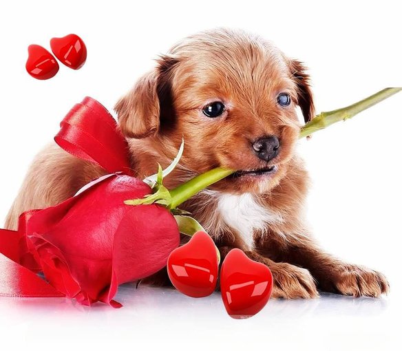 Pokochaj mnie......................