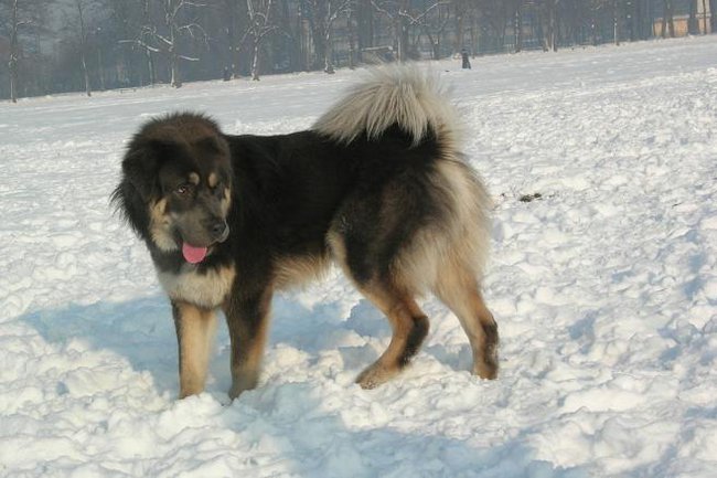 Kto bogatemu nie da zyc skromnie ????