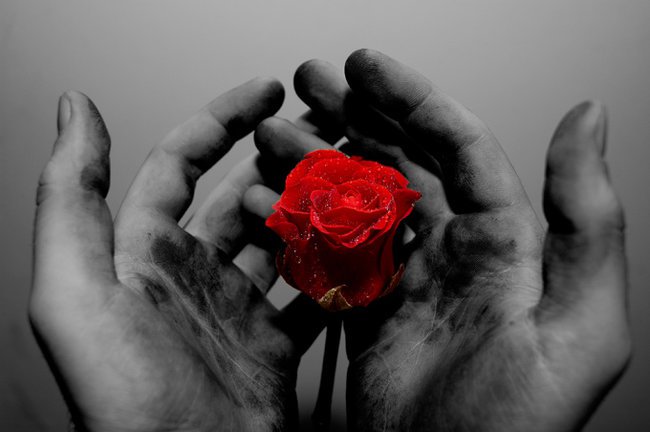 Jedna jest Milosc prawdziwa ...