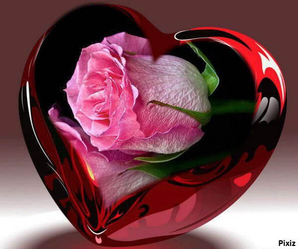 MAZURSKIE   DNI ;;;;;;   TY  I  JA  ;;;;   BUZIACZKI  :::