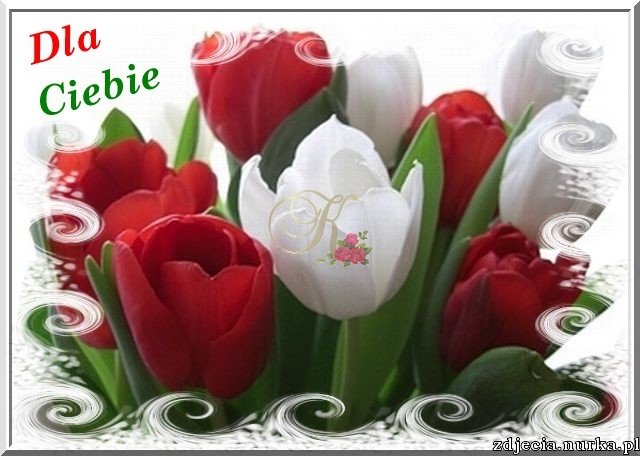 DOBREGO TYGODNIA ŻYCZĘ.......