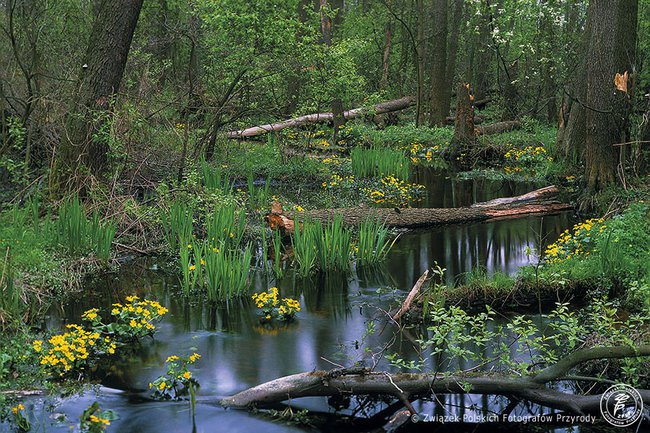 Tatry w wiosennej odsłonie....