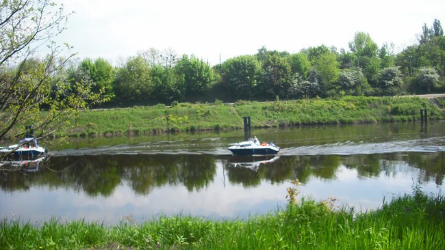 Wiosna i piękna zielona sceneria