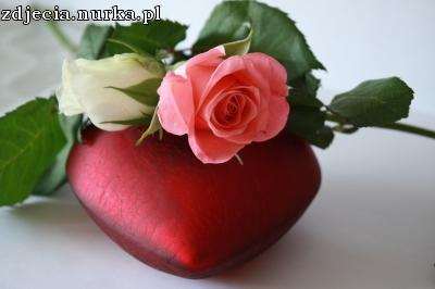 Najpiekniejsze roze dla Ciebie.