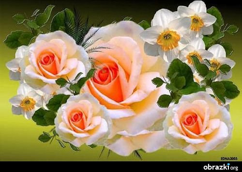 Happy Birthday Andrzej