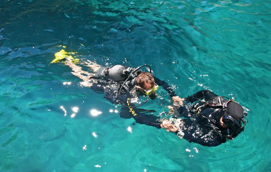 Reklama Homer Diving