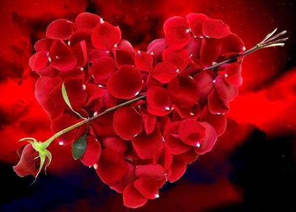 Troszeczkę słońca ;)