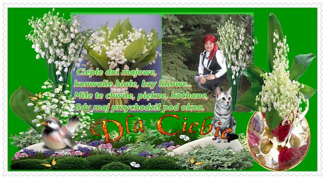 Kładę okruch szczęścia na dłoni i z podmuchem wiatru przesyłam go Tobie Kochana Krysiu